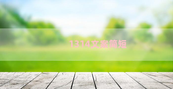 1314文案简短