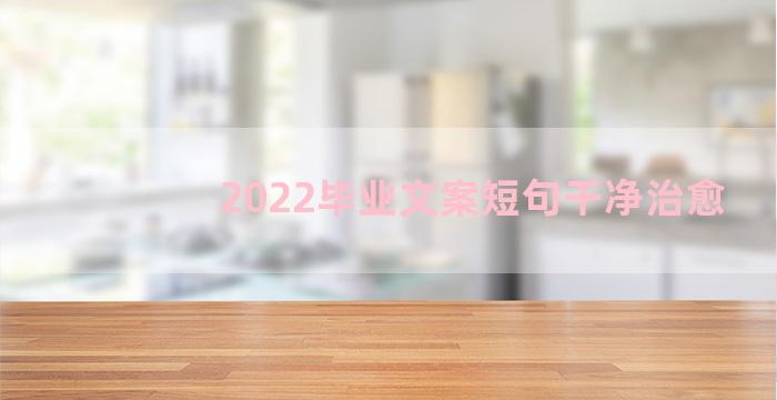 2022毕业文案短句干净治愈