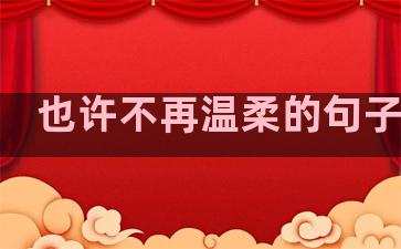 也许不再温柔的句子说说