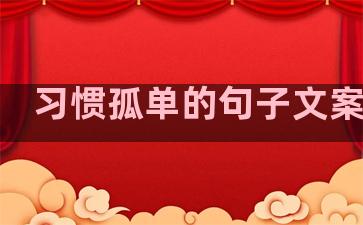 习惯孤单的句子文案生活