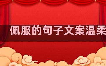 佩服的句子文案温柔短句