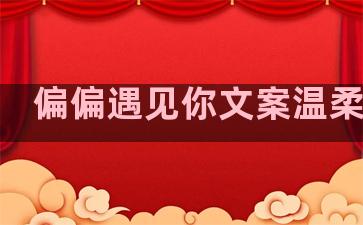 偏偏遇见你文案温柔句子