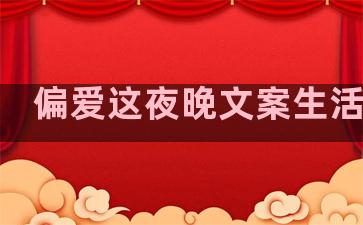 偏爱这夜晚文案生活句子