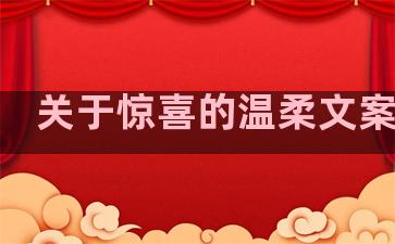 关于惊喜的温柔文案句子