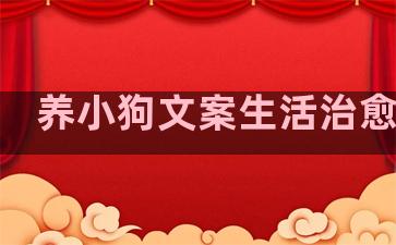 养小狗文案生活治愈句子