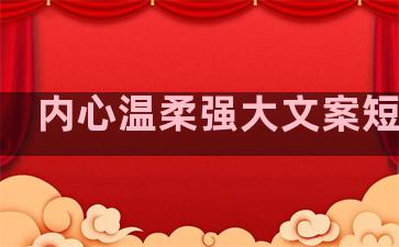 内心温柔强大文案短句子