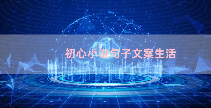 初心小说句子文案生活