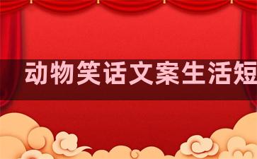 动物笑话文案生活短句子