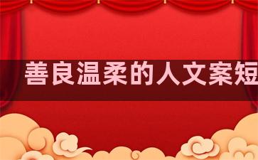 善良温柔的人文案短句子