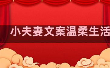 小夫妻文案温柔生活句子