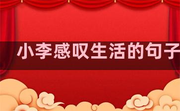 小李感叹生活的句子英语