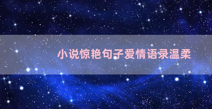 小说惊艳句子爱情语录温柔