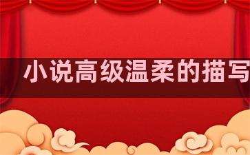 小说高级温柔的描写句子