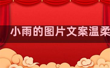 小雨的图片文案温柔句子
