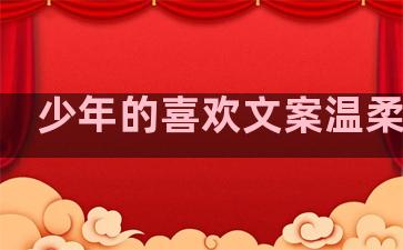 少年的喜欢文案温柔句子