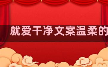 就爱干净文案温柔的句子