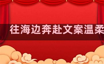 往海边奔赴文案温柔句子
