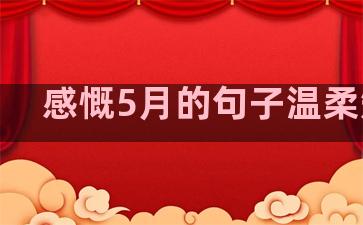感慨5月的句子温柔短句