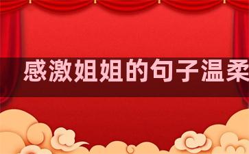 感激姐姐的句子温柔简短