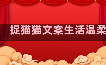 捉猫猫文案生活温柔句子
