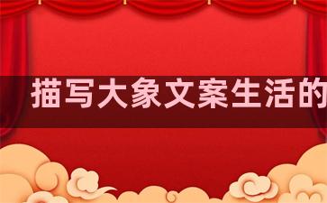 描写大象文案生活的句子