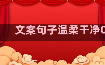 文案句子温柔干净00后