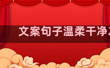 文案句子温柔干净200