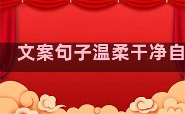 文案句子温柔干净自拍照