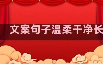 文案句子温柔干净长点的