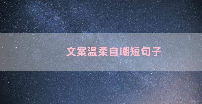 文案温柔自嘲短句子