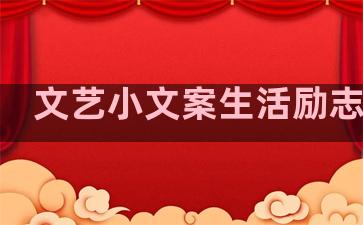 文艺小文案生活励志句子
