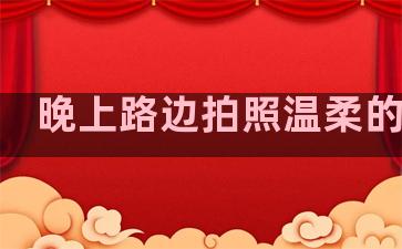 晚上路边拍照温柔的句子