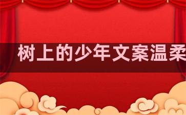 树上的少年文案温柔句子