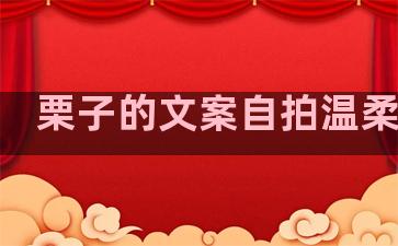 栗子的文案自拍温柔句子