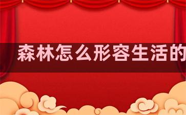 森林怎么形容生活的句子