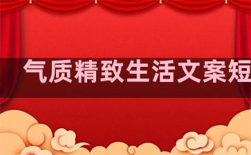 气质精致生活文案短句子