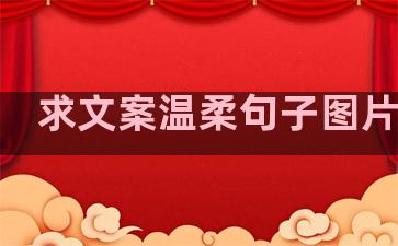求文案温柔句子图片大全