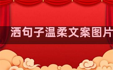 洒句子温柔文案图片高级