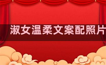 淑女温柔文案配照片句子