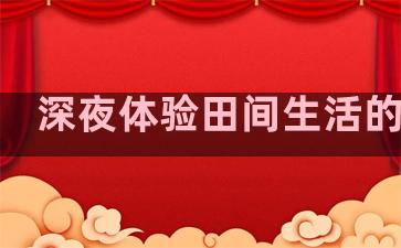 深夜体验田间生活的句子