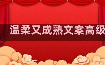 温柔又成熟文案高级句子