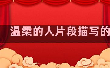 温柔的人片段描写的句子