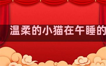 温柔的小猫在午睡的句子