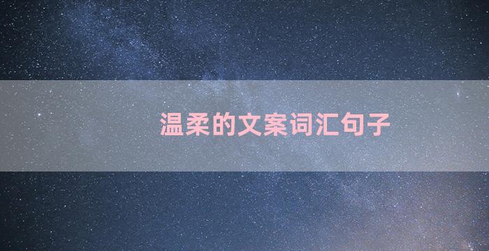 温柔的文案词汇句子