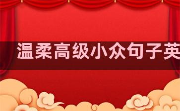 温柔高级小众句子英文版