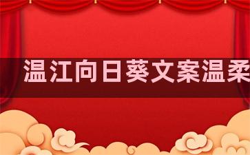 温江向日葵文案温柔句子