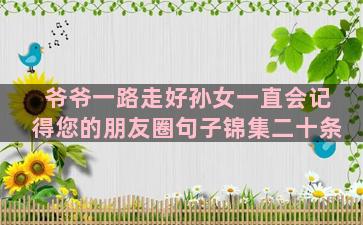 爷爷一路走好孙女一直会记得您的朋友圈句子锦集二十条