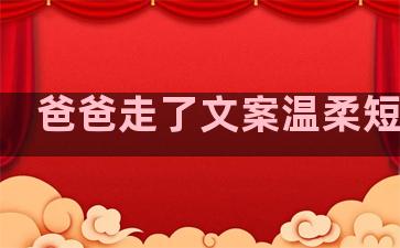 爸爸走了文案温柔短句子