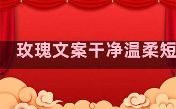 玫瑰文案干净温柔短句子