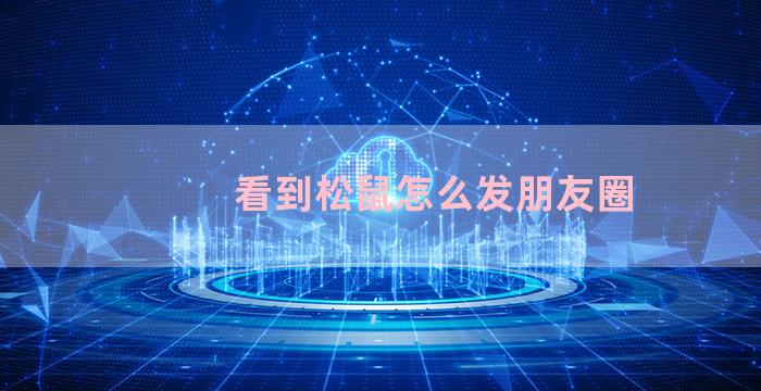 看到松鼠怎么发朋友圈